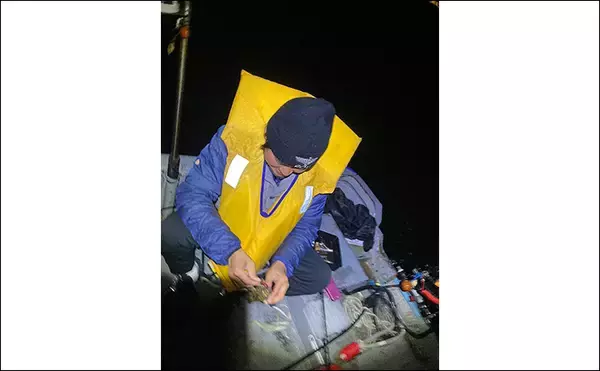 「シーズン序盤のボートロックゲームで25cm良型カサゴ【三重】消波ブロック帯でヒット」の画像