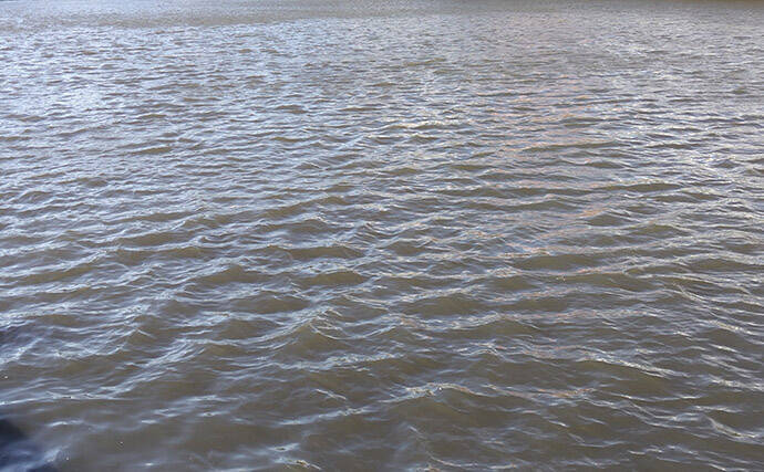 「春一番」はシーバスフィッシングの大敵？　強風下でも釣果を上げるコツを解説