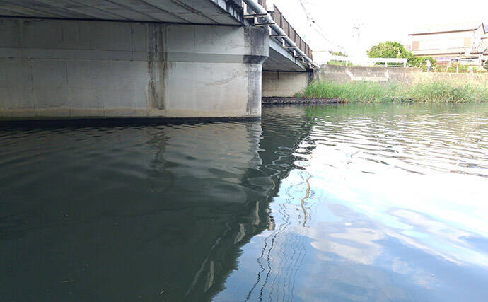 「春一番」はシーバスフィッシングの大敵？　強風下でも釣果を上げるコツを解説