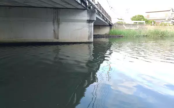 「「春一番」はシーバスフィッシングの大敵？　強風下でも釣果を上げるコツを解説」の画像