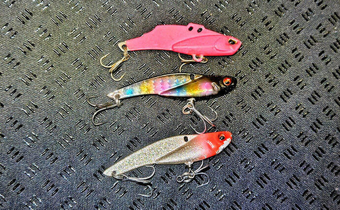 「春一番」はシーバスフィッシングの大敵？　強風下でも釣果を上げるコツを解説