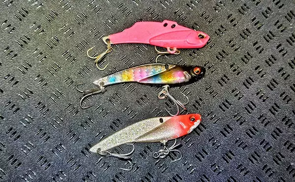 「「春一番」はシーバスフィッシングの大敵？　強風下でも釣果を上げるコツを解説」の画像