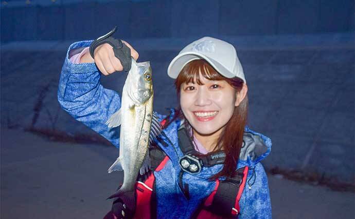 陸っぱりルアーシーバス釣りで人生初本命キャッチに感激【名古屋港】 セイゴクラスが連発