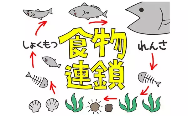 「要注意！＜食べると危険なサカナたち＞　魚が持つ毒にはどんなものがある？」の画像