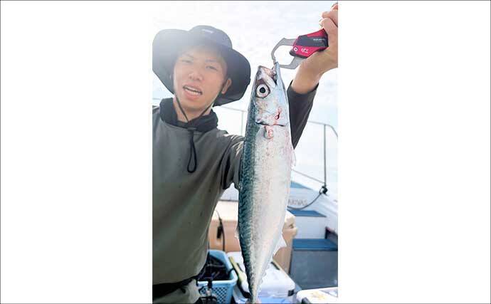 エギタコ釣りで船中マダコ50匹超え！数釣りのチャンス到来【沖のルアー釣果速報12選・愛知・三重】