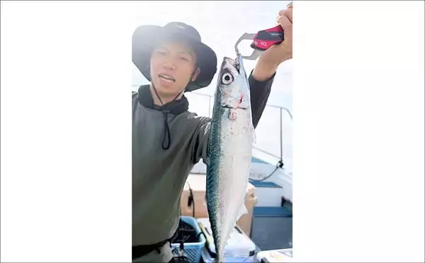 「エギタコ釣りで船中マダコ50匹超え！数釣りのチャンス到来【沖のルアー釣果速報12選・愛知・三重】」の画像