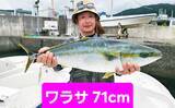「エギタコ釣りで船中マダコ50匹超え！数釣りのチャンス到来【沖のルアー釣果速報12選・愛知・三重】」の画像13