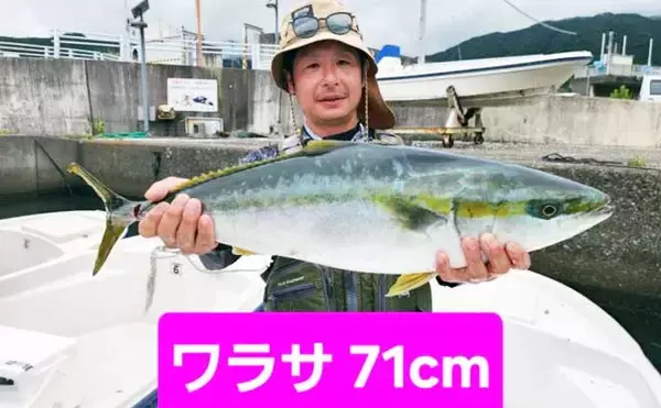 「エギタコ釣りで船中マダコ50匹超え！数釣りのチャンス到来【沖のルアー釣果速報12選・愛知・三重】」の画像