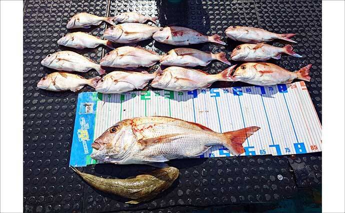 エギタコ釣りで船中マダコ50匹超え！数釣りのチャンス到来【沖のルアー釣果速報12選・愛知・三重】