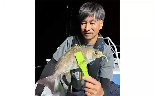 「エギタコ釣りで船中マダコ50匹超え！数釣りのチャンス到来【沖のルアー釣果速報12選・愛知・三重】」の画像