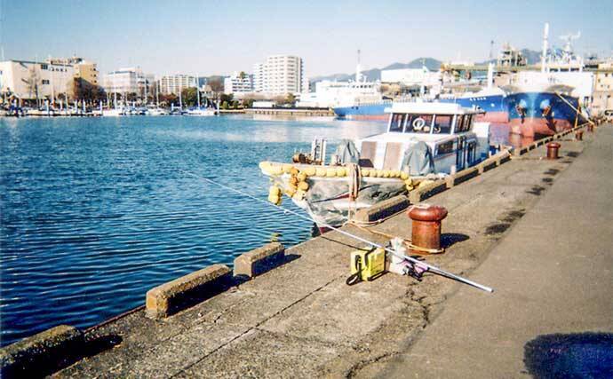 清水港での投げキス釣りで小型中心もシロギス30尾【静岡】ちょい投げでOK