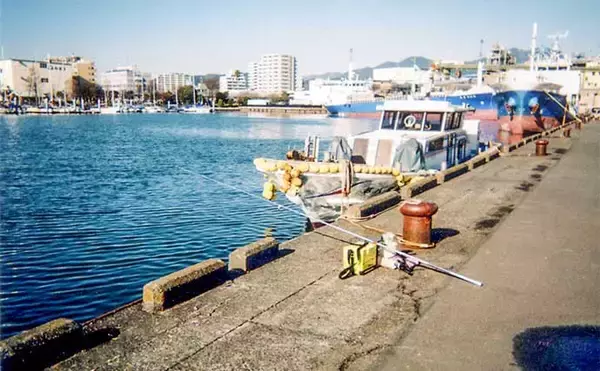 「清水港での投げキス釣りで小型中心もシロギス30尾【静岡】ちょい投げでOK」の画像