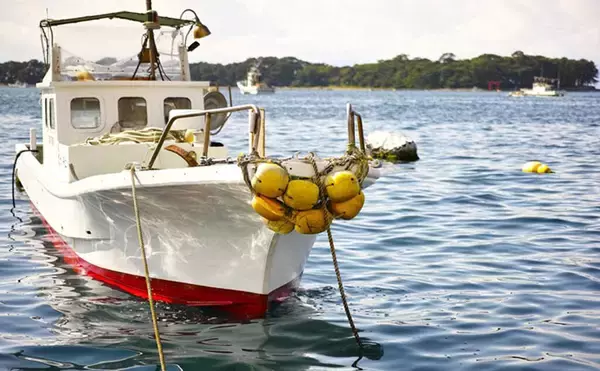 「水族館飼育員がよく受ける質問３選　「この魚食べられる？」は不謹慎ではない」の画像
