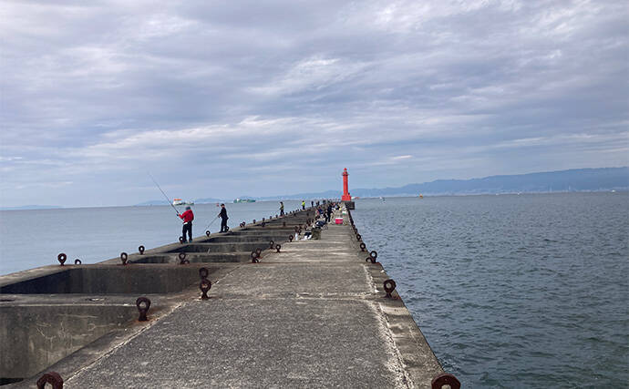 ブレードジグと通常メタルジグを徹底比較　サワラ（サゴシ）が釣れるのはどっち？