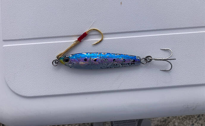 ブレードジグと通常メタルジグを徹底比較　サワラ（サゴシ）が釣れるのはどっち？