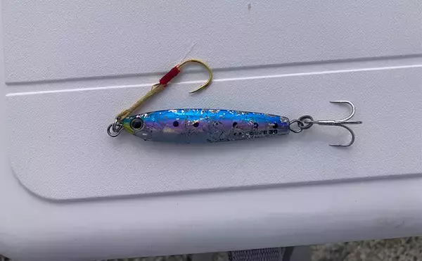 「ブレードジグと通常メタルジグを徹底比較　サワラ（サゴシ）が釣れるのはどっち？」の画像