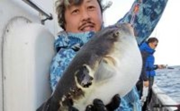 【沖釣り釣果速報】ガツンと本命ヒット！　鳥羽沖のカットウ釣りで良型トラフグを好捕（三重）