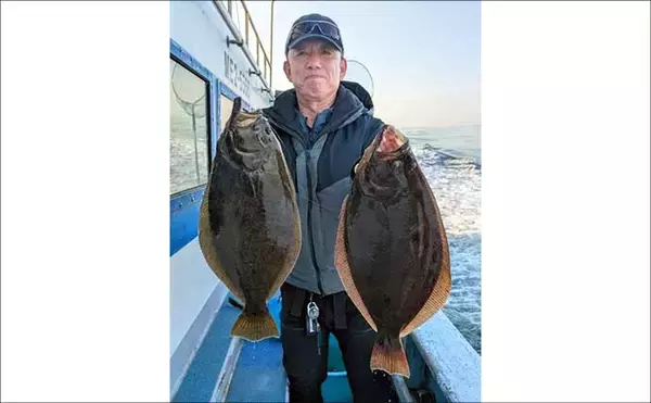 「【沖釣り釣果速報】ガツンと本命ヒット！　鳥羽沖のカットウ釣りで良型トラフグを好捕（三重）」の画像