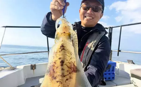 【沖釣り釣果速報】全員1kgアップ達成！ティップランで良型アオリイカ船中11匹（三重）