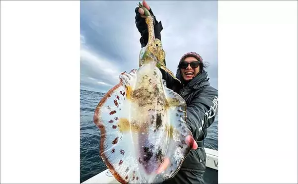 「【沖釣り釣果速報】全員1kgアップ達成！ティップランで良型アオリイカ船中11匹（三重）」の画像