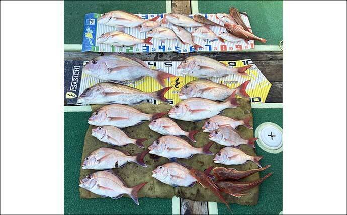 【沖釣り釣果速報】全員1kgアップ達成！ティップランで良型アオリイカ船中11匹（三重）