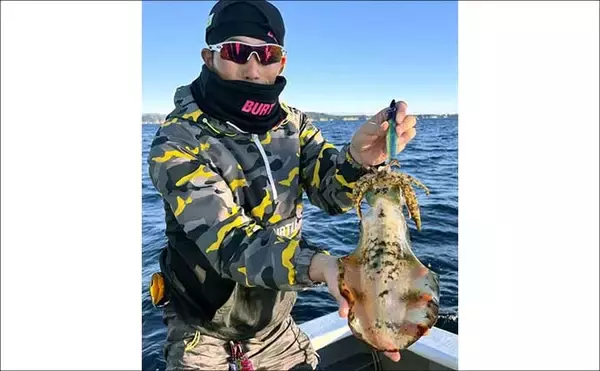 「【沖釣り釣果速報】全員1kgアップ達成！ティップランで良型アオリイカ船中11匹（三重）」の画像