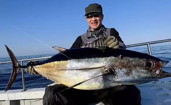 「【沖釣り釣果速報】全員1kgアップ達成！ティップランで良型アオリイカ船中11匹（三重）」の画像