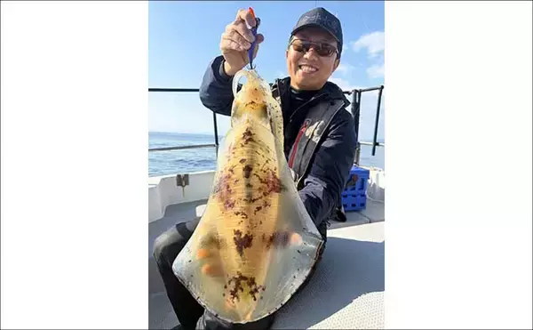 「【沖釣り釣果速報】全員1kgアップ達成！ティップランで良型アオリイカ船中11匹（三重）」の画像