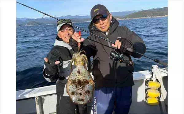 「【沖釣り釣果速報】全員1kgアップ達成！ティップランで良型アオリイカ船中11匹（三重）」の画像