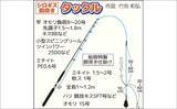 「「寒さを忘れる好反応！」東京湾の船シロギス釣りで11〜39尾と数伸びる【金沢八景・荒川屋】」の画像2