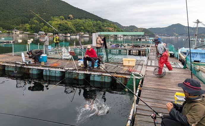 海上釣り堀で美味魚「シマアジ」に挑戦【貞丸・三重】本命5匹にマダイ7匹を好捕！