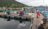 「海上釣り堀で美味魚「シマアジ」に挑戦【貞丸・三重】本命5匹にマダイ7匹を好捕！」の画像4