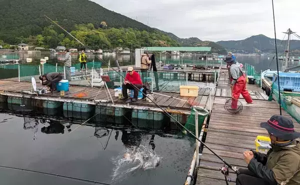 「海上釣り堀で美味魚「シマアジ」に挑戦【貞丸・三重】本命5匹にマダイ7匹を好捕！」の画像