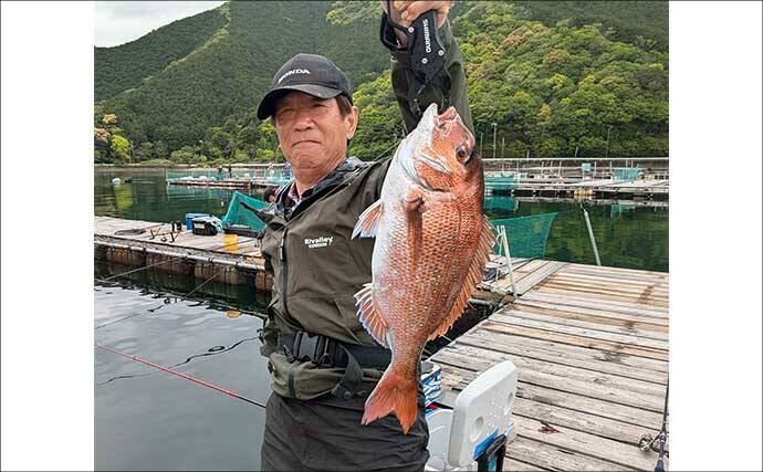 海上釣り堀で美味魚「シマアジ」に挑戦【貞丸・三重】本命5匹にマダイ7匹を好捕！