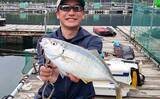 「海上釣り堀で美味魚「シマアジ」に挑戦【貞丸・三重】本命5匹にマダイ7匹を好捕！」の画像9