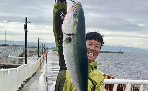 『大阪南港魚つり園』釣果レポート　青物は不調もエギタコ釣りで新子タコ登場！