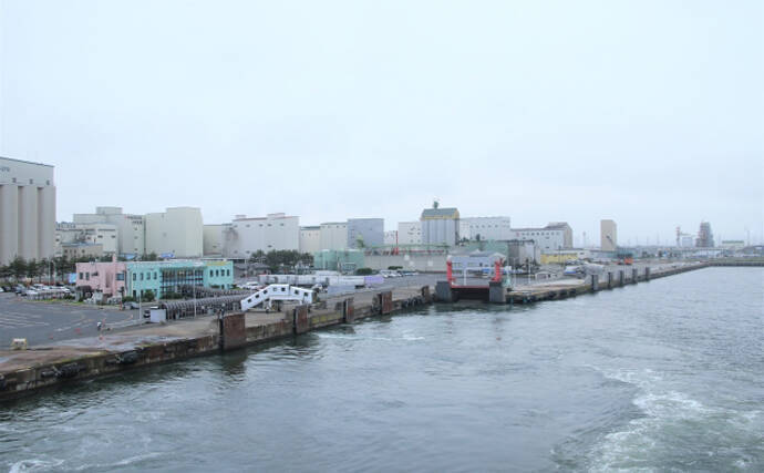 有名仏料理『ブイヤベース』に絶対欠かせてはいけない魚はカサゴ類