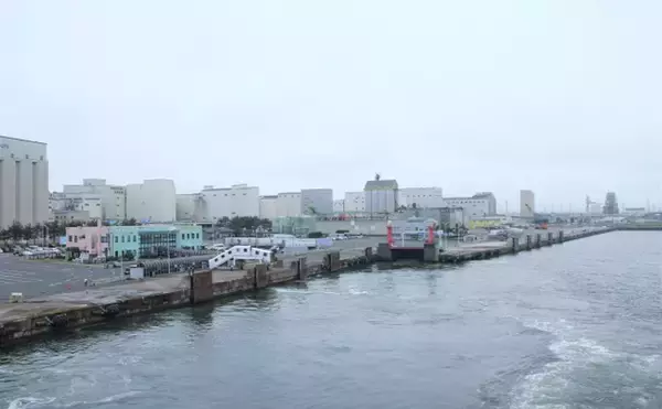 「有名仏料理『ブイヤベース』に絶対欠かせてはいけない魚はカサゴ類」の画像