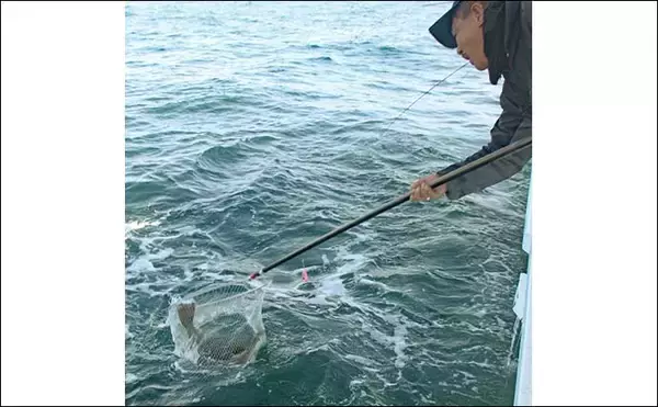 「広域解禁した茨城沖の船ヒラメ釣りで5kg筆頭に本命続々登場【桜井丸】」の画像