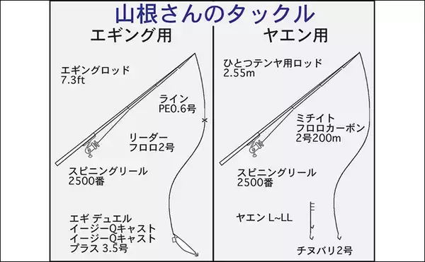「イカダのヤエン釣りで1.24kgのアオリイカを確保【三重・迫間浦】エギングでも良型キャッチ」の画像