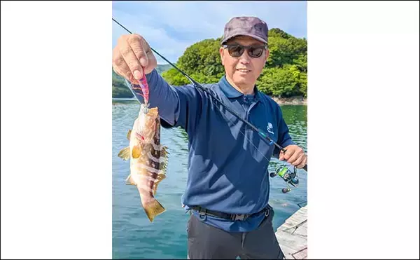 「イカダのヤエン釣りで1.24kgのアオリイカを確保【三重・迫間浦】エギングでも良型キャッチ」の画像