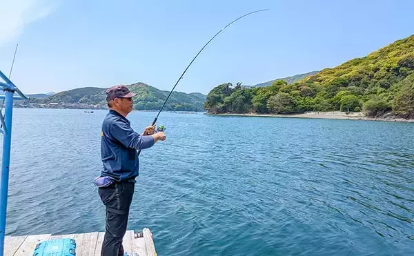 「イカダのヤエン釣りで1.24kgのアオリイカを確保【三重・迫間浦】エギングでも良型キャッチ」の画像