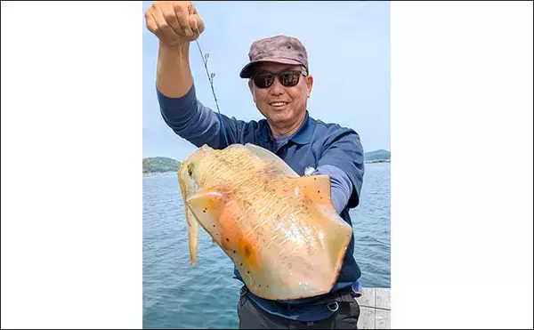 「イカダのヤエン釣りで1.24kgのアオリイカを確保【三重・迫間浦】エギングでも良型キャッチ」の画像