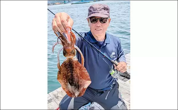 「イカダのヤエン釣りで1.24kgのアオリイカを確保【三重・迫間浦】エギングでも良型キャッチ」の画像