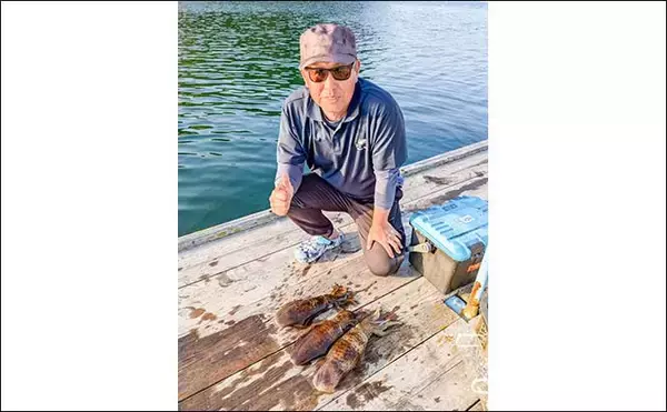 「イカダのヤエン釣りで1.24kgのアオリイカを確保【三重・迫間浦】エギングでも良型キャッチ」の画像