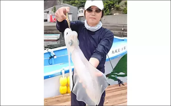 「イカダのヤエン釣りで1.24kgのアオリイカを確保【三重・迫間浦】エギングでも良型キャッチ」の画像