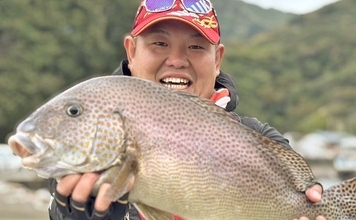 「思わぬ大物がヒット！」メジナ狙いのフカセ釣りで64.5cmのコロダイ降臨【西伊豆・仁科漁港】