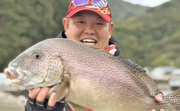 「思わぬ大物がヒット！」メジナ狙いのフカセ釣りで64.5cmのコロダイ降臨【西伊豆・仁科漁港】