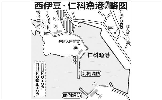 「思わぬ大物がヒット！」メジナ狙いのフカセ釣りで64.5cmのコロダイ降臨【西伊豆・仁科漁港】