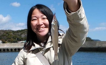 漁港でのチョイ投げ釣りでシロギス7尾【静岡・南伊豆】外海の荒れ模様が奏功か？